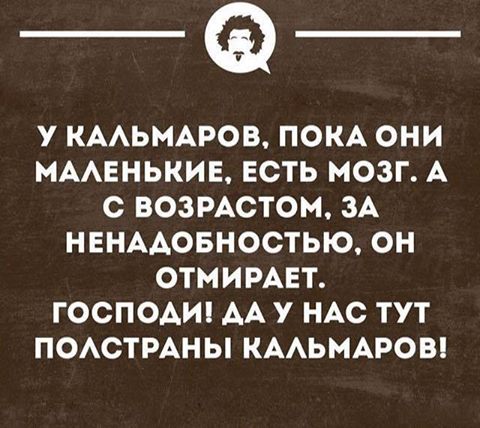 страна кальмаров