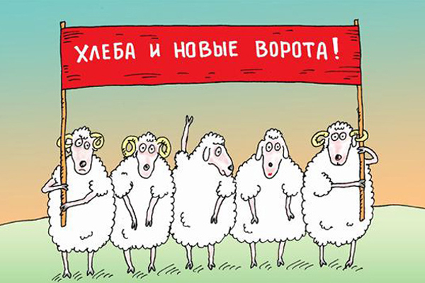 Требуем хлеба