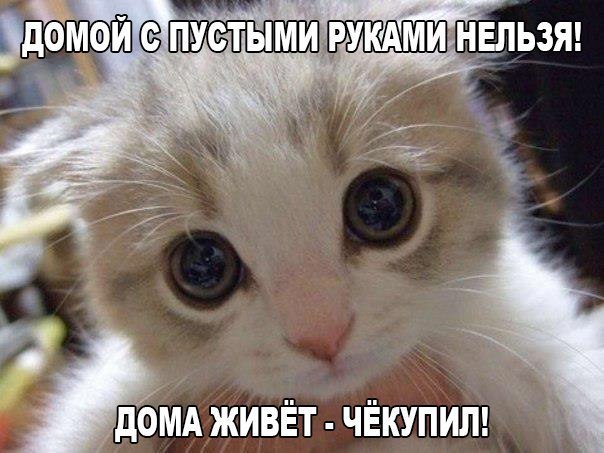 Чёкупил!