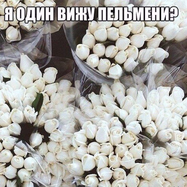 Вы тоже это видите?