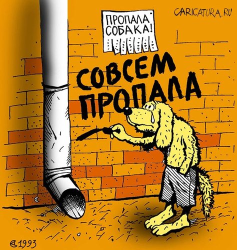 Пропала собака
